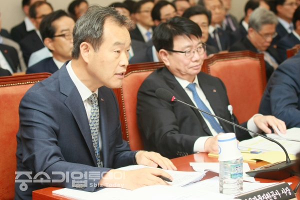 2017년 구회 업무보고에서 한국광물자원공사 김영민 사장(왼쪽)이 의원들의 질의에 답변하고 있다.