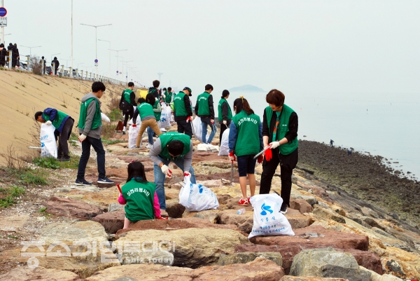 삼천리는 지역사회의 일원으로 지속적인 환경정화 활동을 시행하고 있다. 삼천리 직원들이 Clean Day를 맞아 시화방조제 환경정화활동을 펼치고 있다.