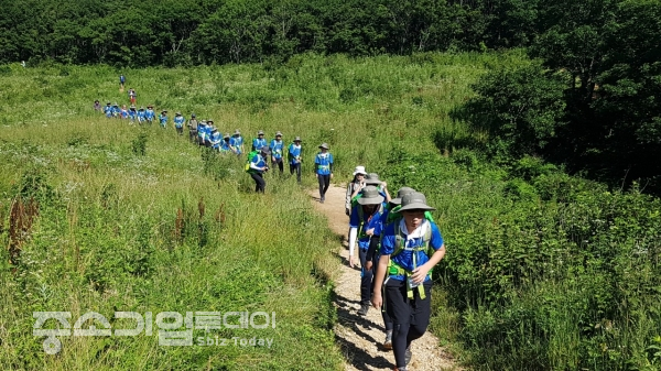 지난해 진행된 제18회 청소년 백두대간 산림생태탐방 모습. 탐방에 참가한 중고생들이 대관령 일대를 걷고 있다.
