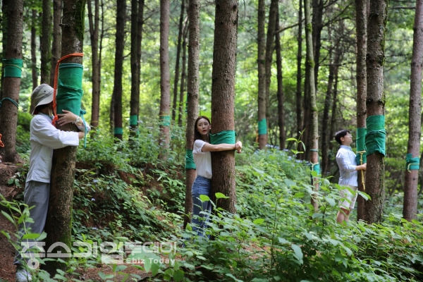 국립산림치유원 산림치유프로그램의 한 장면.