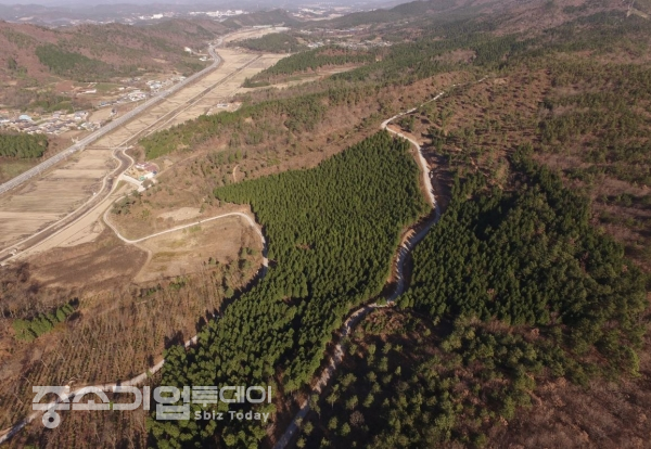전남 보성 봉화산에 위치한 선도산림경영단지 전경.