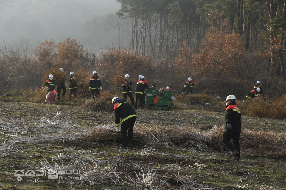 산림청 직원들이 산림인접지의 영농부산물 수거해 파쇄하고 있는 모습.