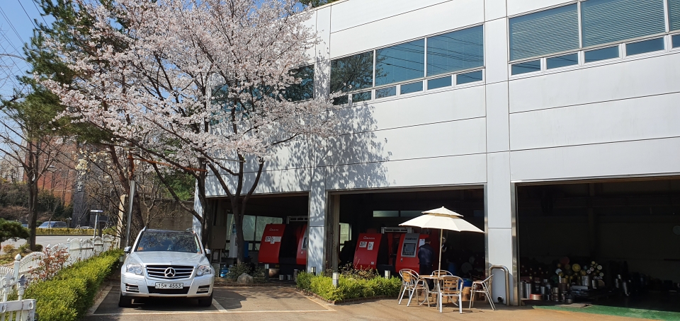 서울 구로동에 위치한 00년 역사의 대일특수강주식회사 앞마당에 벚꽃이 활짝 피어있다.