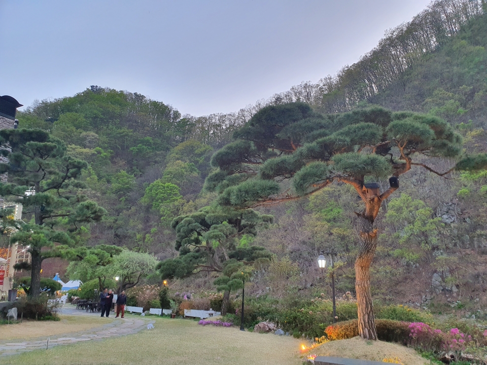 캐나다 부차드가든을 벤치마킹해 장기영 회장이 18년간 조성한 경기도 양평 '내추럴가든'의 잘가꿔진 정원 모습.