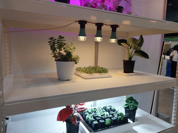 '2022MBC 건축박람회'에 중소조명업체인 O사가 출품한 관상용 '스마트 식물생장 기술'에 의한 조명제품.