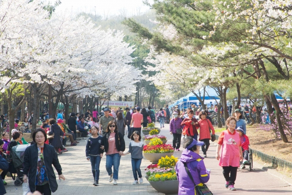서울 시내 한 자치구가 주관한 벚꽃축제에 모여든 시민들.