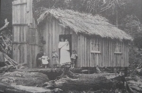 1830년대 뉴질랜드 초기 이주민들 모습.[출처= 뉴질랜드 한인사]