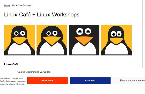 윈도우11의 대안으로 제시되는 리눅스 체제를 지원하는 'endof10' 웹사이트의 하위 실행 카테고리 화면. [출처=endof10]