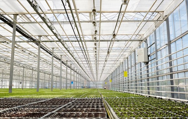 정밀농업을 위해 구축한 스마트팜 온실. [출처=언스플레시]