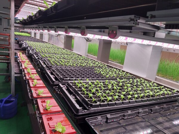 차세대 수직농장 시스템. [출처=파머스랩]